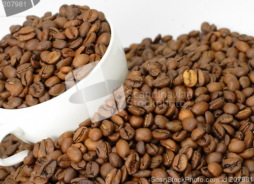 Image of Coffee beans in a cup