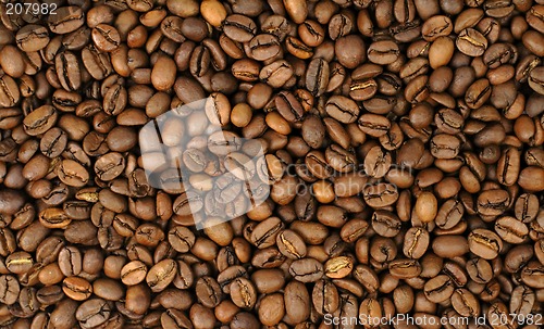 Image of Coffee beans background