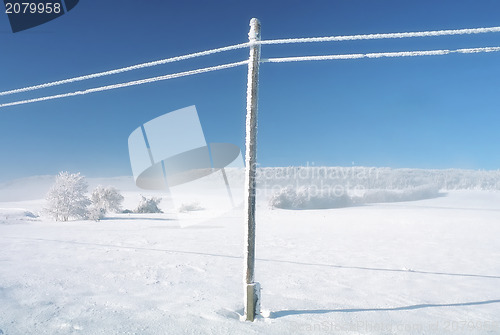 Image of Empty wild winter landscape blue sky, snowy telefony lines