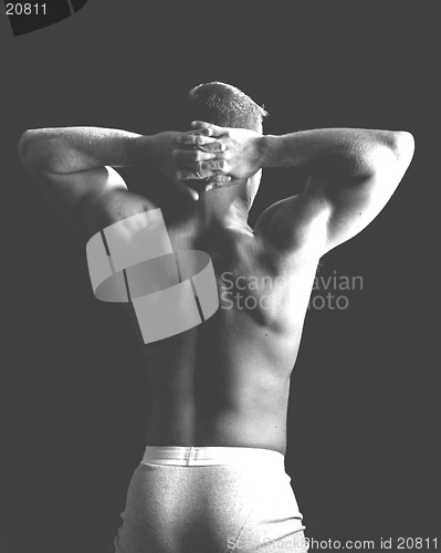 Image of physique back