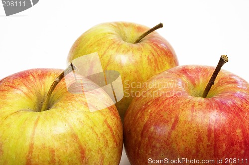 Image of Red apples