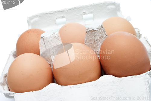 Image of Six brown eggs in a box