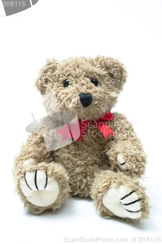 Image of Teddybear