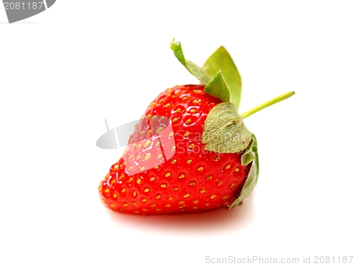 Image of Strawberry