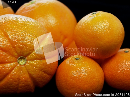 Image of Citrus