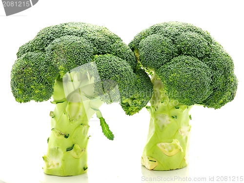 Image of Broccoli