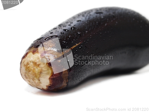 Image of Eggplant