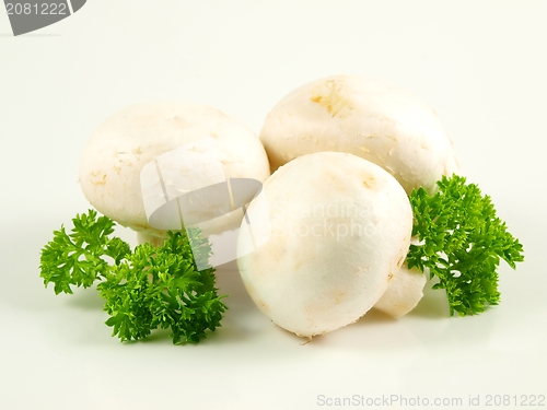Image of Champignon with parsley