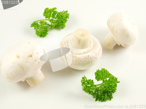 Image of Champignon with parsley