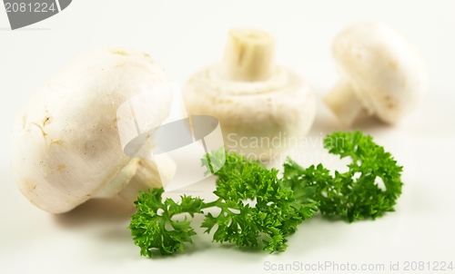 Image of Champignon with parsley