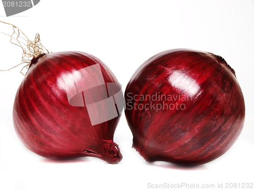 Image of Red onion