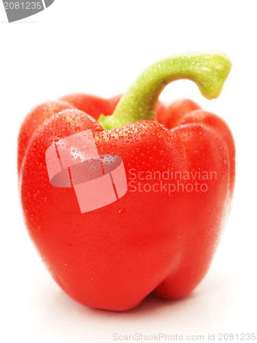 Image of Red pepper