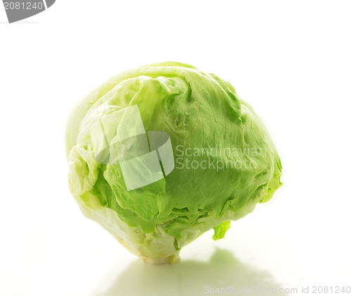 Image of Lettuce