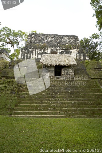 Image of overgrown mayan ruins