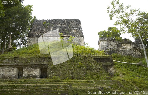 Image of overgrown mayan ruins