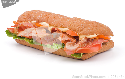 Image of Big Ciabatta Sandwich