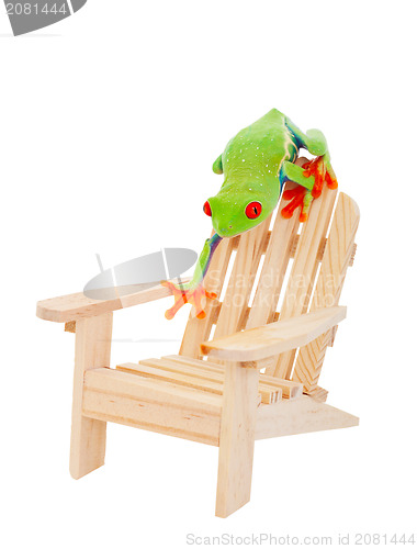 Image of Tropical Vacation Frog