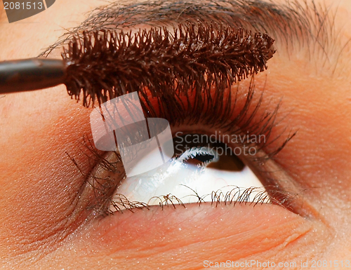 Image of Female eye