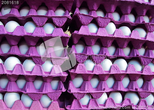 Image of Eggs