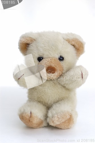 Image of Teddy Bear