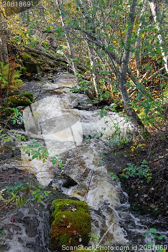 Image of Small Natural Brook