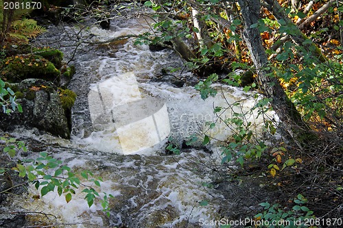 Image of Small Natural Brook
