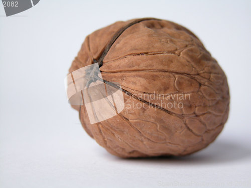 Image of nut