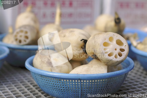Image of Lotus roots