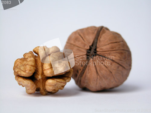 Image of nuts