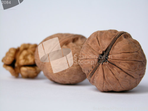 Image of nuts