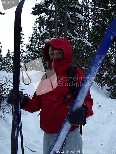 Image of Girl and ski,cross-country skiing