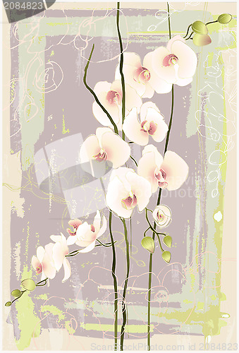 Image of Greeting card with orchid. Illustration orhid.
