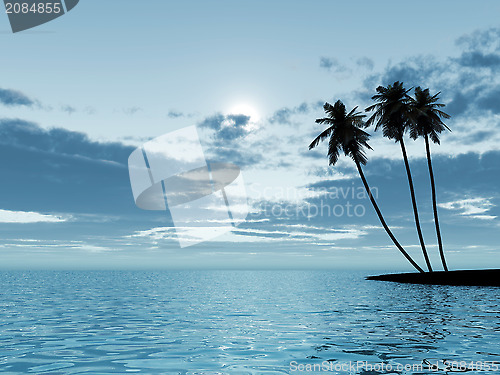 Image of palm trees in a moonlight