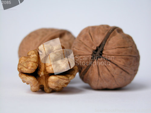 Image of nuts