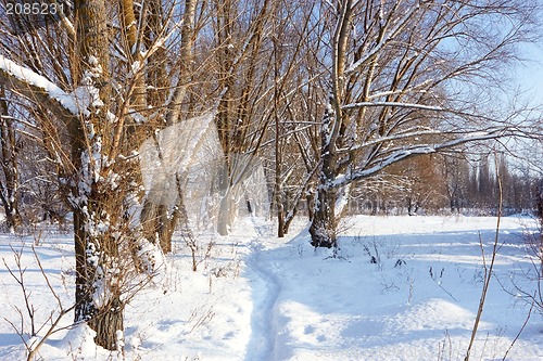 Image of Footpath in the snow in park