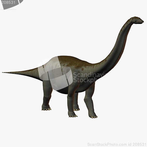 Image of Apatosaurus