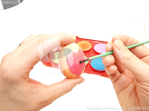 Image of Painting eggs