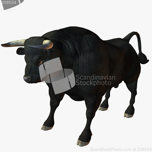 Image of Bull