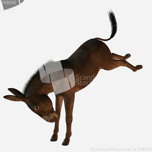 Image of 3D Donkey