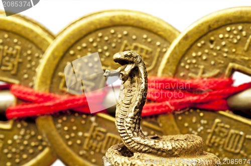 Image of Feng shui year of the snake