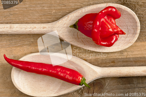 Image of Chili Cayenne and bishop?s crown