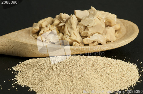 Image of baking ingredient yeast powder and fresh yeast