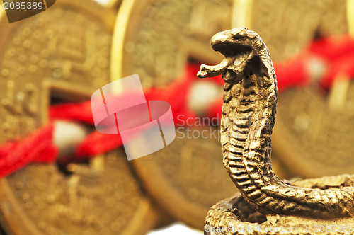 Image of Feng shui year of the snake