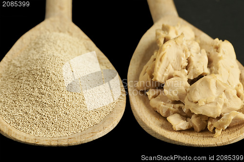 Image of baking ingredient yeast powder and fresh yeast