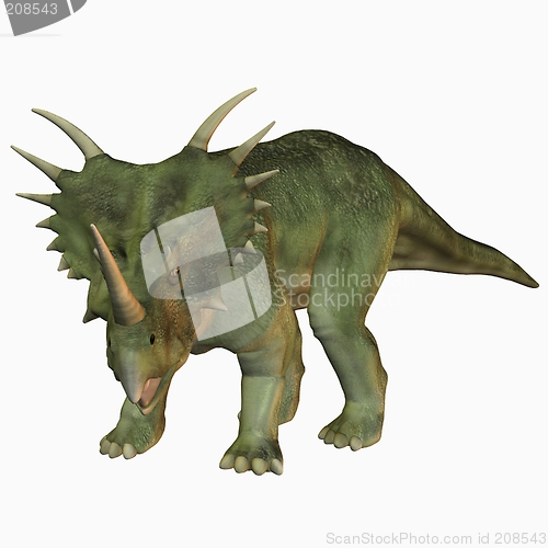 Image of Styracosaurus