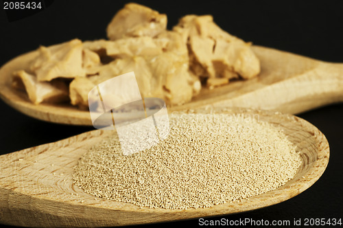 Image of baking ingredient yeast powder and fresh yeast