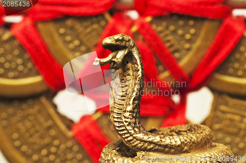 Image of Feng shui year of the snake