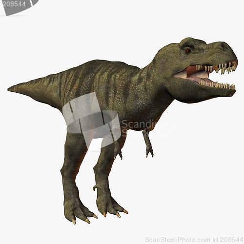 Image of Tyrannosaurus Rex