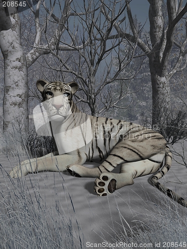 Image of White Tiger