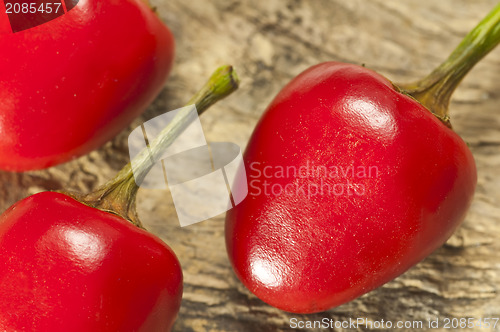 Image of cascabel chili